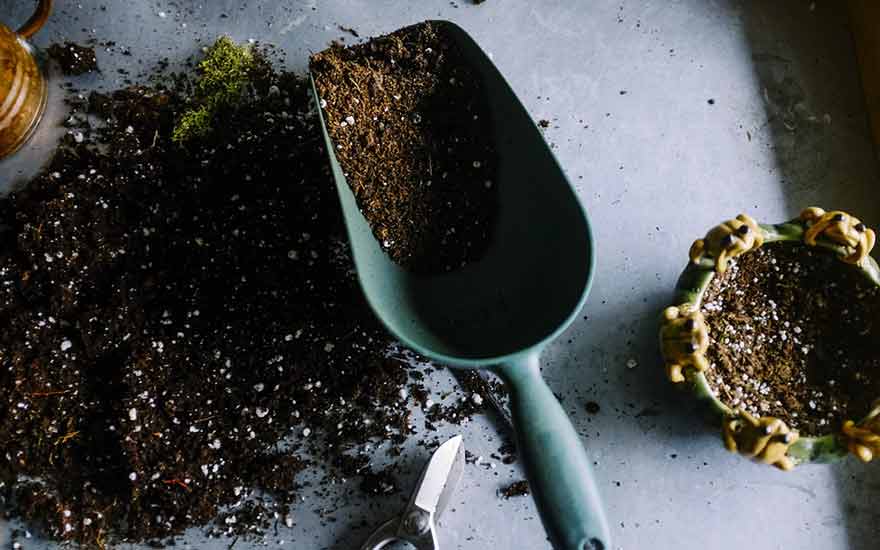 préparer son jardin pour le printemps