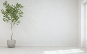 arbre d'intérieur
