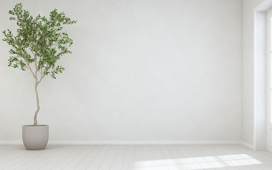 arbre d'intérieur