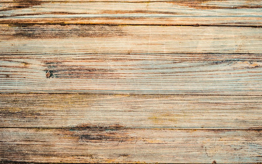 se débarrasser des puces de parquet