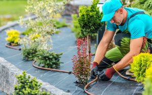 paysagiste qui aménage un jardin