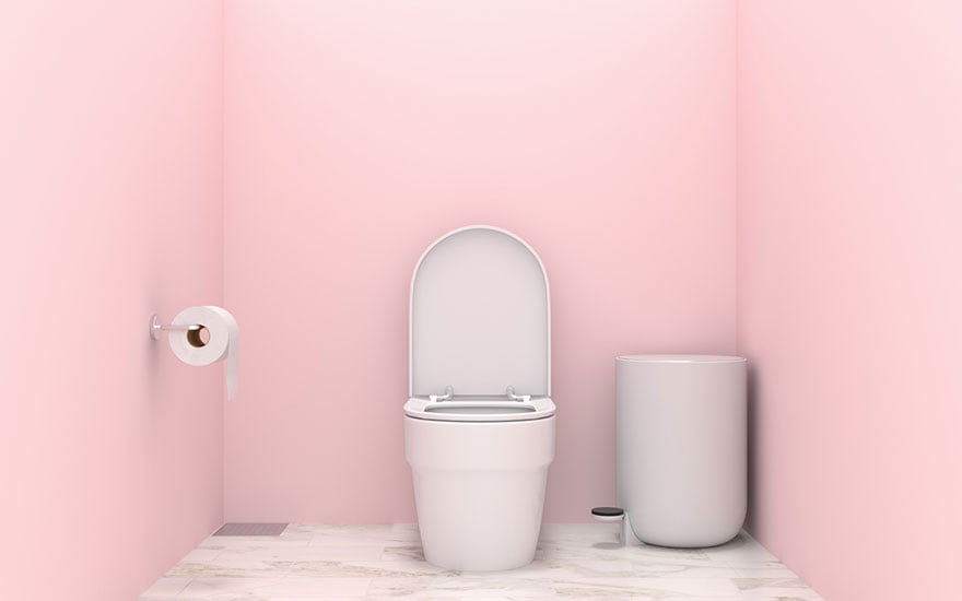 couleur déco wc sans fenetre
