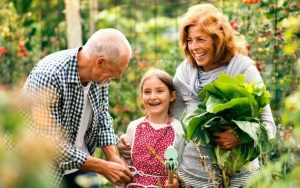 aménager un jardin en 2021