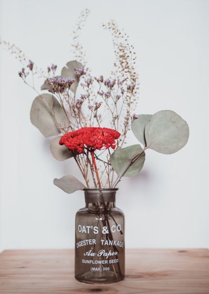 fleurs séchées