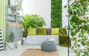 mur vegetal artificiel
