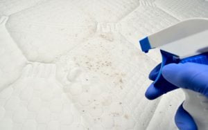 moisissure matelas