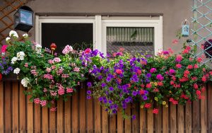 astuces brise vue balcon