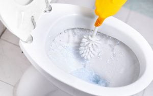 nettoyer brosse wc