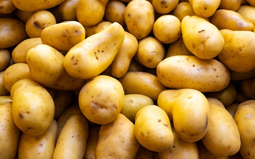 techniques pour conserver les pommes de terre