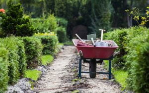 outils entretien jardin