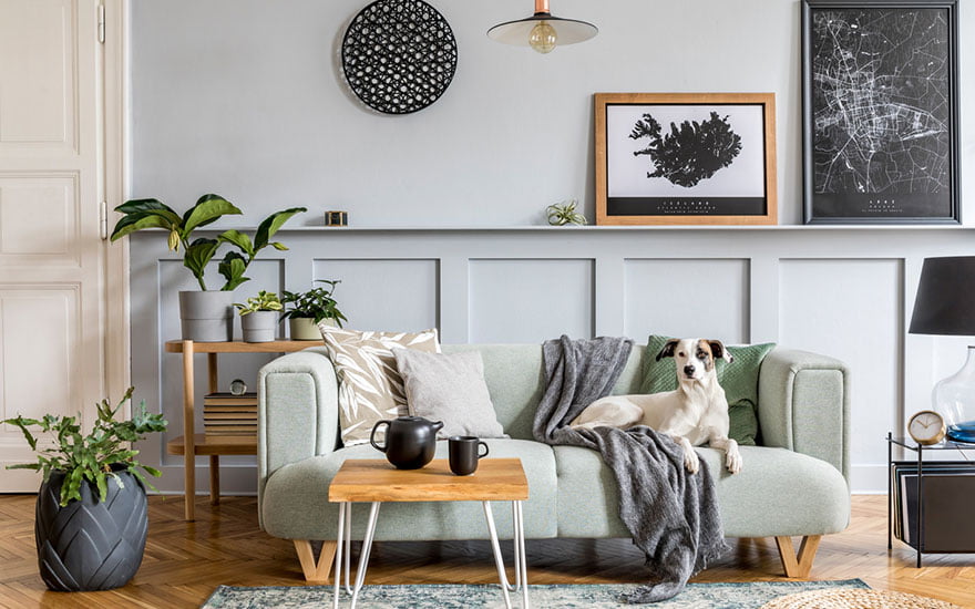 décorer appartement locataire