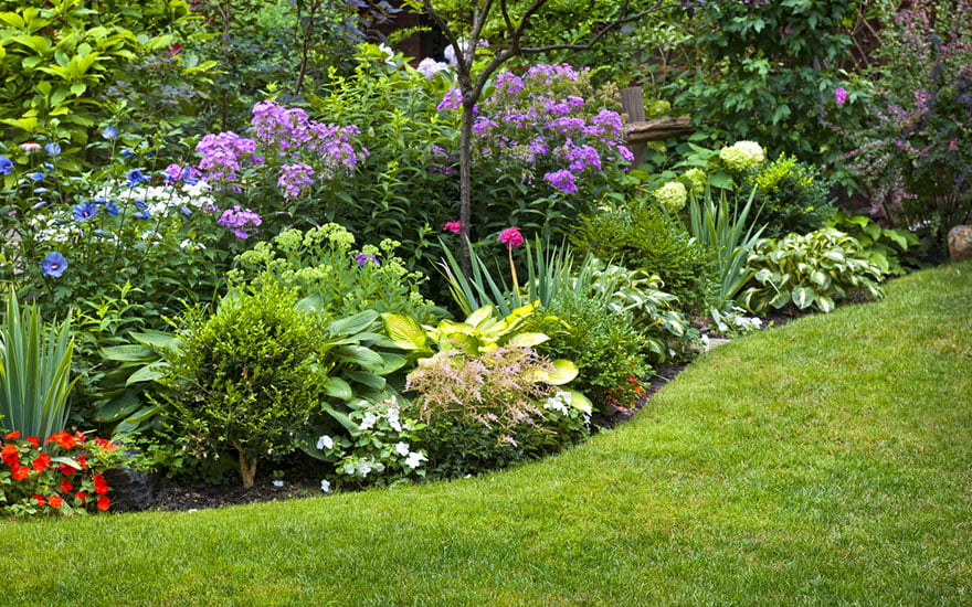 les plantes pour un jardin fleuri toute l'année