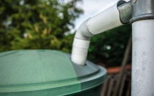 récupérer l'eau de pluie pour arroser le jardin