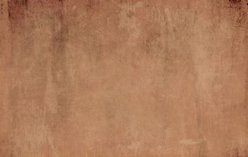 Couleur Fauve Decoration