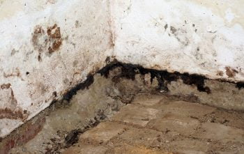 Humidite Cave