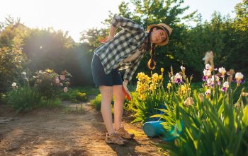 Douleurs Jardinage