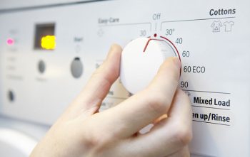 Laver Linge Economie