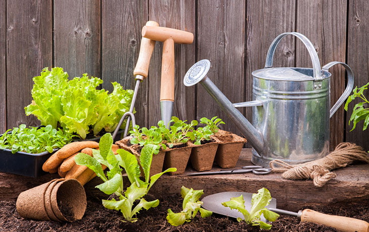 Outils Indispensables Potager
