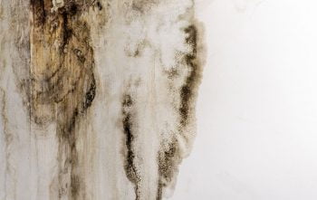 Astuces Contre Humidite Cave