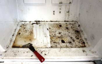 Enlever Naturellement Moisissure Refrigerateur