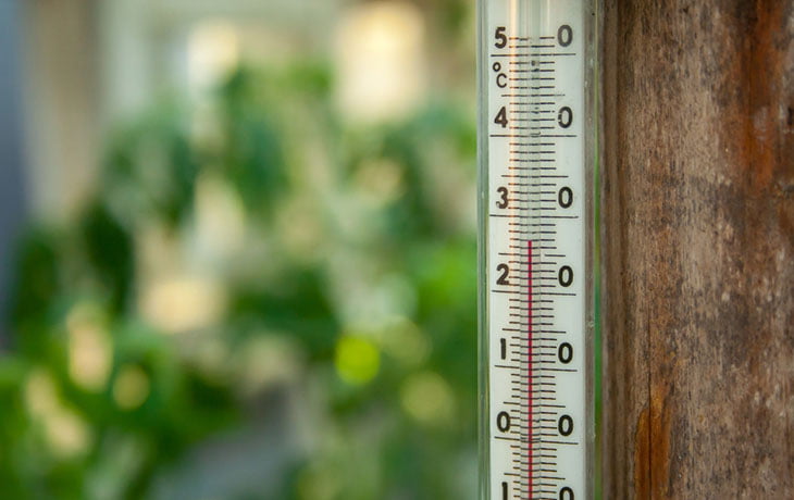 Reguler Temperature Serre Jardin