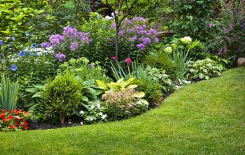 Jardin Fleuri