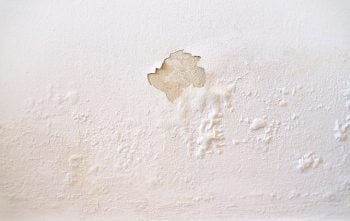 Ma Peinture Se Decolle
