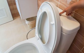 Diy Fabriquer Pastilles Wc