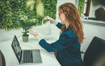 Plantes Bureau