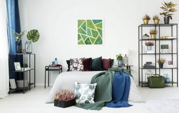 Plante A Ne Jamais Mettre Chambre