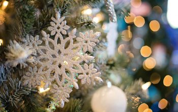 Sapin Noel Naturel Ou Artificiel