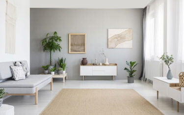 Taille Tapis Salon